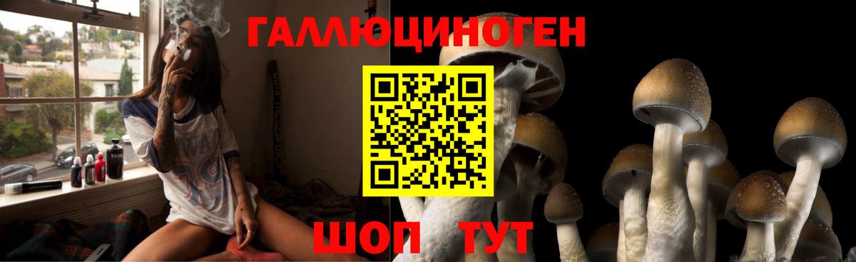 Галлюциногенные грибы GOLDEN TEACHER  Вход с VPN  Электросталь  Псилоцибиновые грибы Psilocybine cubensis 